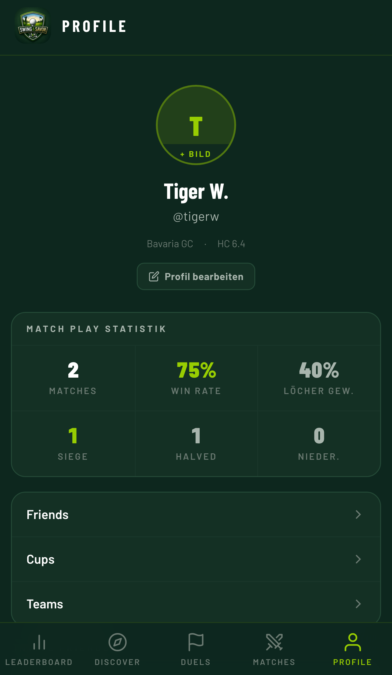 Player profile with stats